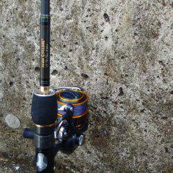 西宮ケーソンやっと太刀魚釣れました。